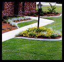 landscape edging