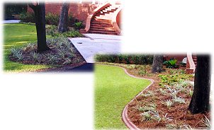 curbing resurfacing